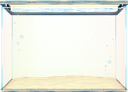 File:FishTankSkin Caribbean.png