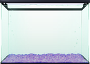 File:FishTankSkin Purple.png