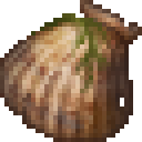 File:Old Shell.png