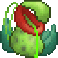 Default Aha's Pitcher Plant